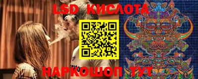 прущие грибы Михайловск