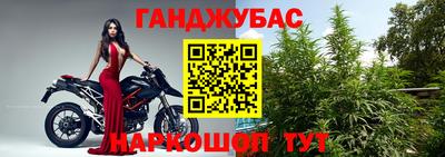 прущие грибы Михайловск