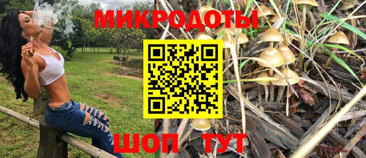 Галлюциногенные грибы GOLDEN TEACHER Корсаков