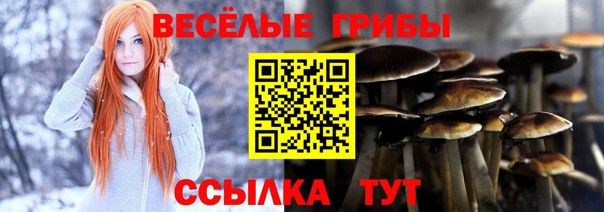 Галлюциногенные грибы GOLDEN TEACHER  Вход с VPN  Корсаков 
